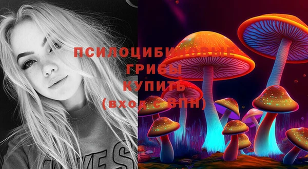 ECSTASY Верхнеуральск